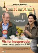  	VISITA INESPERADA - THE VISITOR